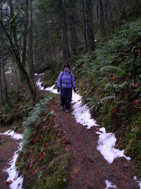 12.23.05 Elowah Falls 029 